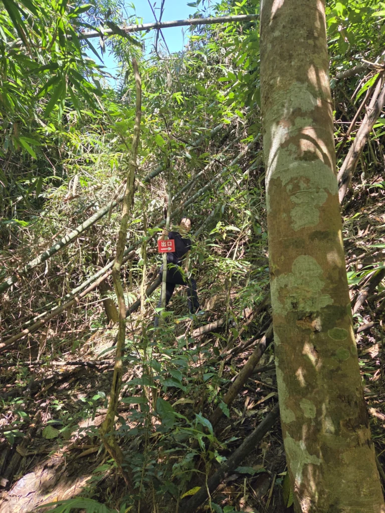 Rong beim Aufstieg an einer Böschung. Der Weg ist fast nicht mehr erkennbar, nur das einzelne Schild zeigt die Richtung zum Ausgang aus dem Urwald.