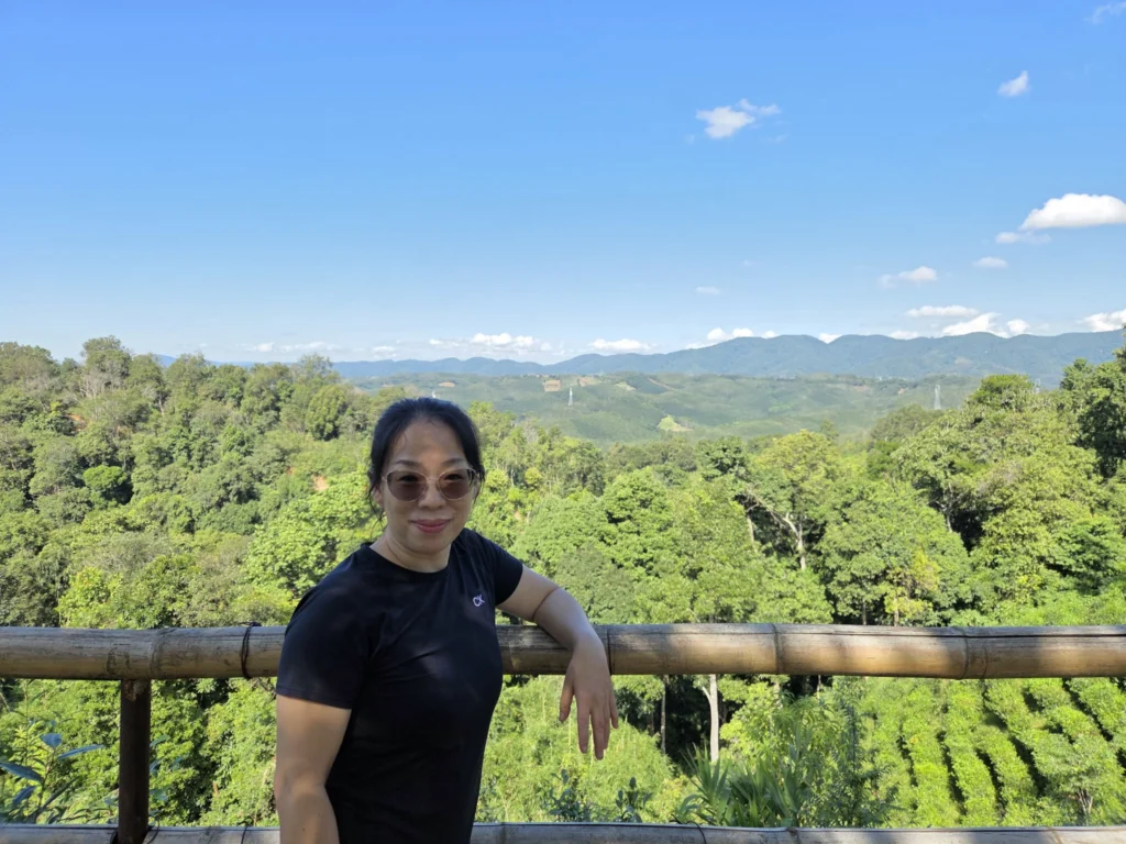 Rong mit Ausblick auf den Urwald.