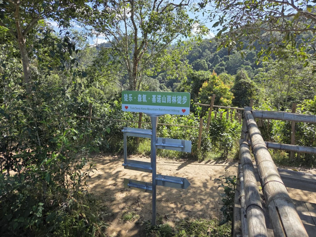 Urwald-Wanderung im Tule Seno Keno Mountain Rainforest