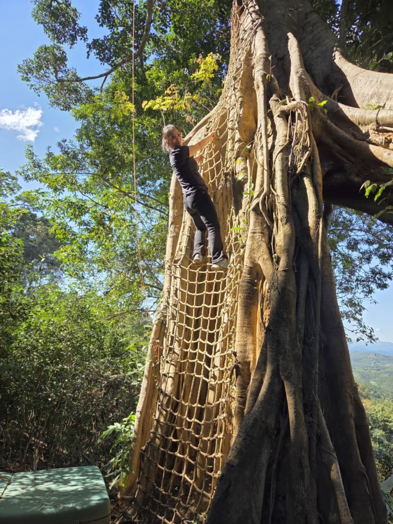 Kletterattraktion, Rong besteigt das Kletternetz