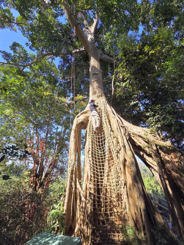 Kletteraktion, Stefan besteigt das Kletternetz