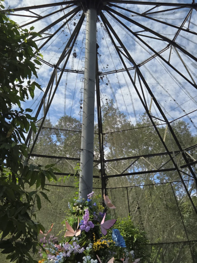 Im Schmetterlingshaus