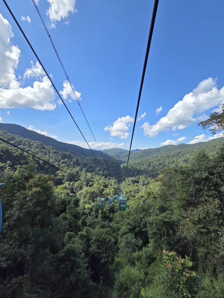 Blick aus der Seilbahn auf dem Urwald