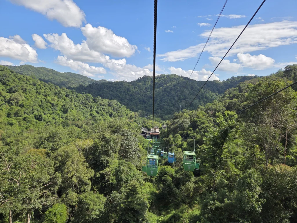 Blick aus der Seilbahn auf die Endstation im Urwald.