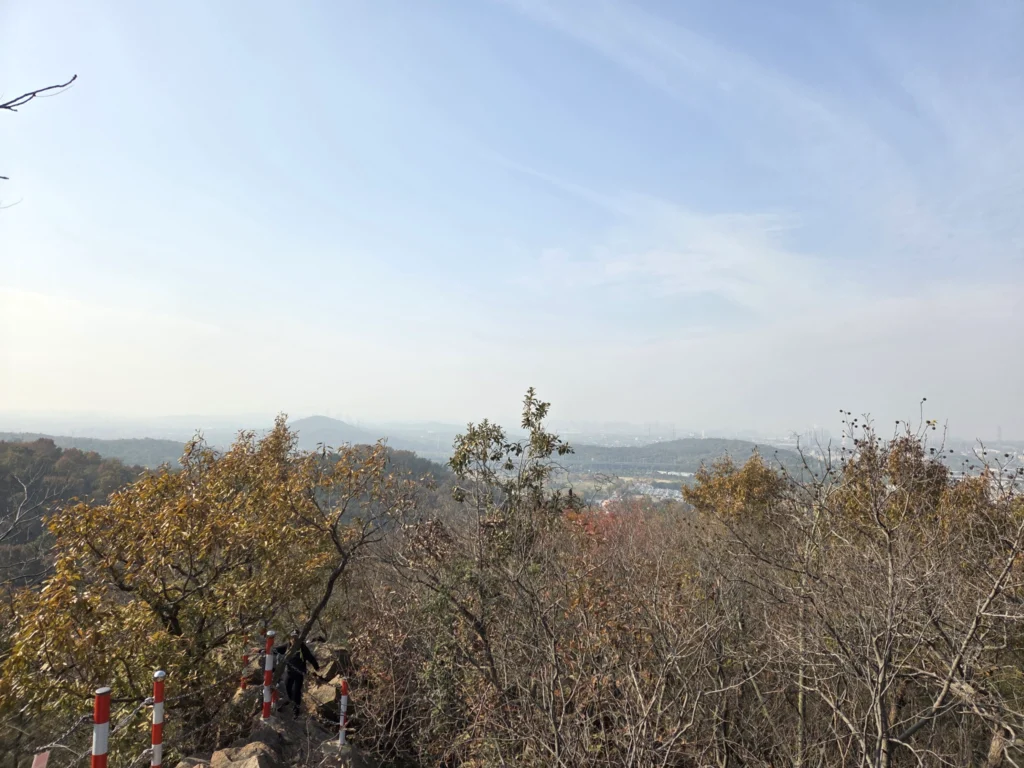 Blick in die Ferne über Bäume auf Berge und blauen Himmel
